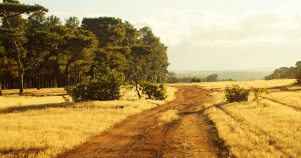 'Đôi mắt Pleiku' đẹp quyến rũ trong dịp đầu xuân