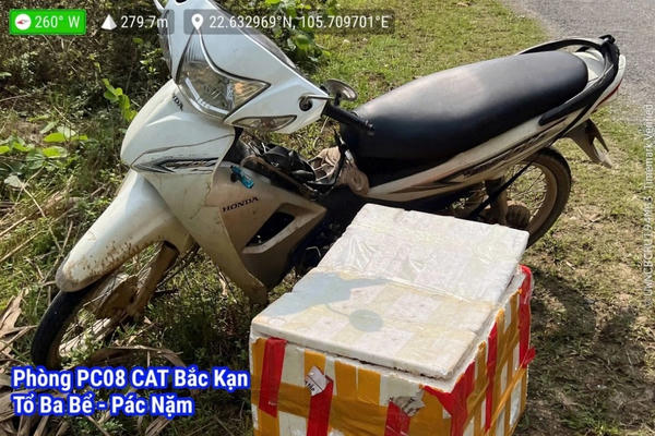 Bị tạm giữ vì vận chuyển trái phép 9kg rắn hổ mang
