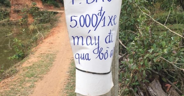 Điện Biên: Du khách tham dự lễ hội hoa anh đào phải nộp phí khi đi qua BOT “bờ ao”