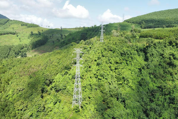 Cho phép tạm sử dụng rừng để thi công dự án đường dây 500 kV mạch 3