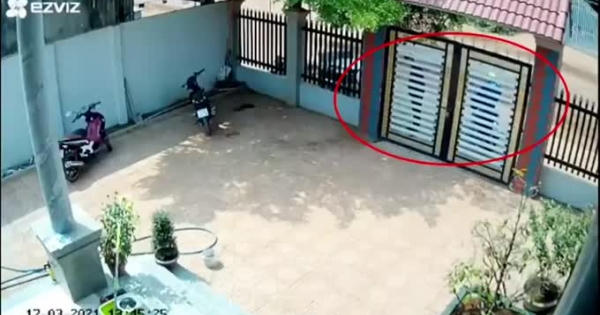 Video: Vợ bầu vác dao dài cả mét hỗ trợ chồng chống lại hai tên trộm manh động