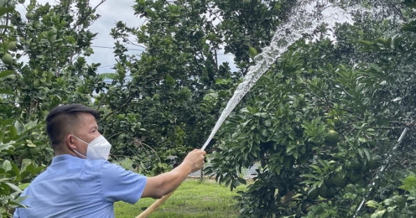 Có những không gian riêng trong mùa dịch