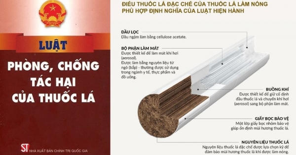 WHO hướng dẫn quản lý thuốc lá làm nóng và thuốc lá điện tử khác nhau