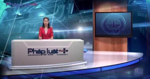 Chặng đường vượt mốc 2 triệu lượt truy cập của Pháp Luật Plus