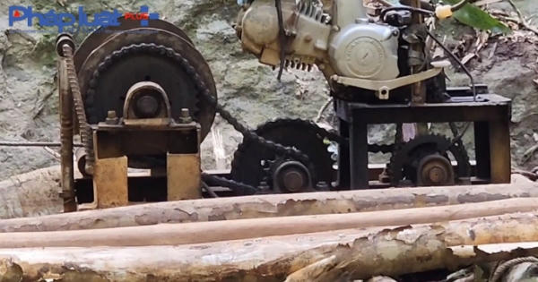 Yên Bái: Nhanh chóng truy vết, xử lý dứt điểm vụ phá rừng tại huyện Văn Yên