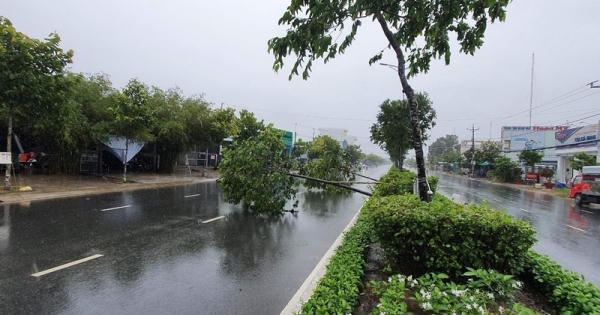 Cà Mau thiệt hại hàng tỷ đồng do ảnh hưởng của hoàn lưu bão số 2 gây ra Cà Mau thiệt hại hàng tỷ đồng do ảnh hưởng của hoàn lưu bão số 2 gây ra