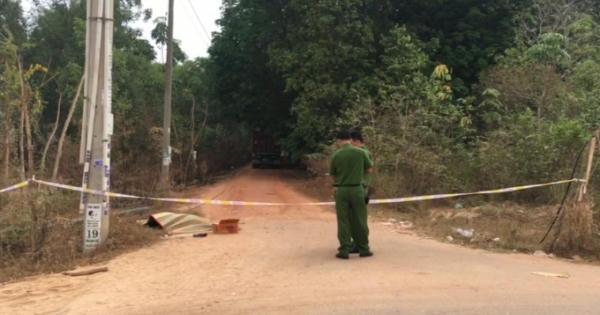 Bình Dương: Đu theo xe container tông đổ cây trong khu đô thị, 1 bảo vệ tử vong
