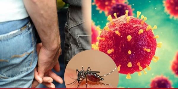 Sốt xuất huyết có lây qua quan hệ tình dục không? Sốt xuất huyết có lây qua quan hệ tình dục không?