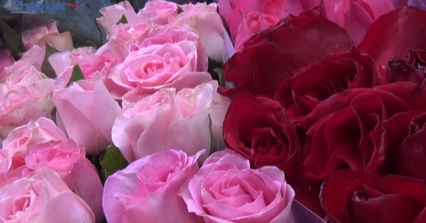 Gần đến ngày 8/3, khuyến mãi hấp dẫn nhưng sức mua yếu Gần đến ngày 8/3, khuyến mãi hấp dẫn nhưng sức mua yếu