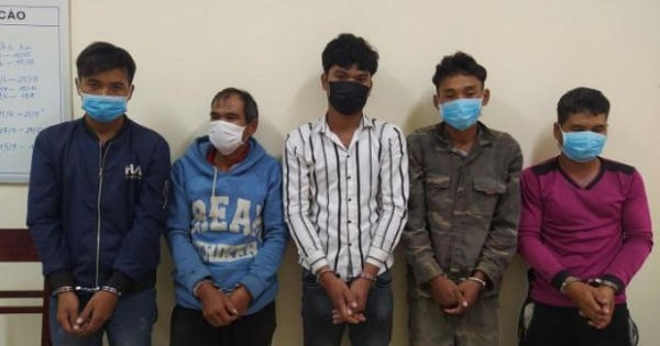 Trộm bò rồi dắt về nhà để xẻ thịt