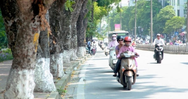 Dự báo thời tiết ngày 3/5, Bắc Bộ nắng đẹp