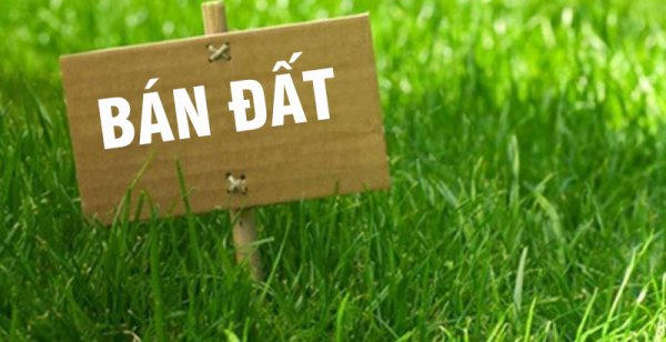 Bán đất với lời hứa sẽ làm đường nhưng không thực hiện khiến người mua rơi vào cảnh điêu đứng Bán đất với lời hứa sẽ làm đường nhưng không thực hiện khiến người mua rơi vào cảnh điêu đứng