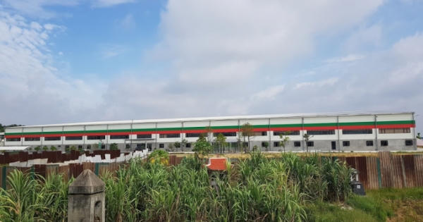 Công ty CP Chế biến nông sản thực phẩm xuất khẩu Hải Dương bị xử phạt 300 triệu đồng