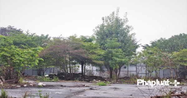 "Đắp chiếu" 12 năm, dự án của AIC vẫn không bị thu hồi