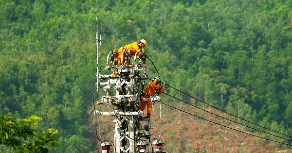 Tăng giá điện sinh khối
