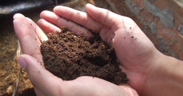Audio: Bớt xén phân bón để làm phí ngoại giao