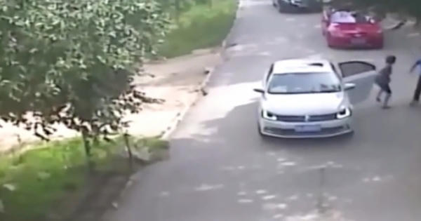 Clip: Nữ du khách bị hổ vồ chết trong công viên Clip: Nữ du khách bị hổ vồ chết trong công viên