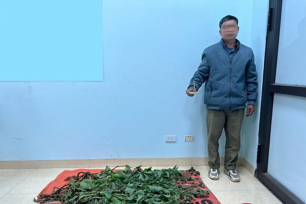 Cao Bằng: Khởi tố một đối tượng sản xuất trái phép chất ma tuý