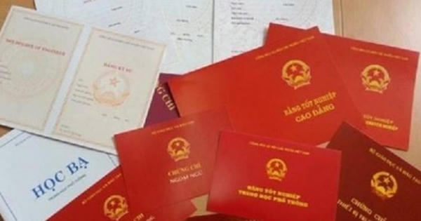 Cách chức nữ hiệu trưởng do xài bằng giả