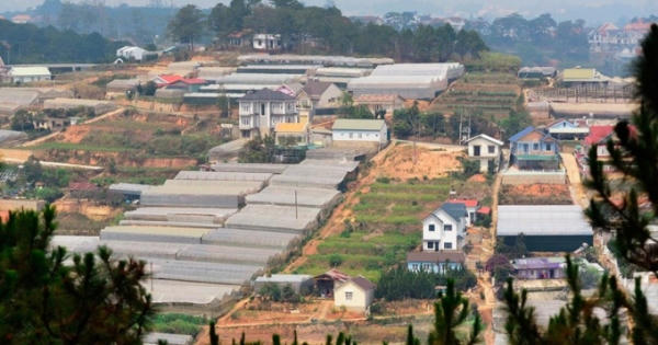 Địa ốc 6AM: Đà Lạt 'ngộp thở' vì nhà kính; Cận cảnh những dự án của IPC bị chuyển sang cơ quan điều tra