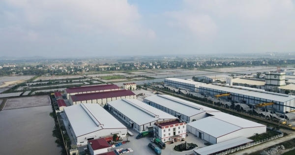 Nhiều vi phạm tại dự án của Công ty Cổ phần VN Ecofloor