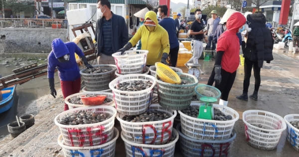 Video: Cận cảnh cuộc sống của người dân huyện Vân Đồn sau những ngày dỡ lệnh phong tỏa Video: Cận cảnh cuộc sống của người dân huyện Vân Đồn sau những ngày dỡ lệnh phong tỏa