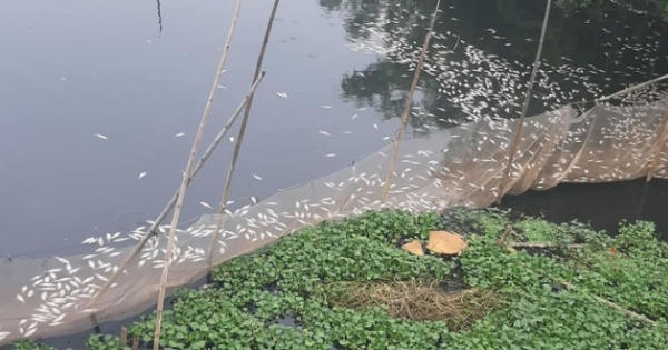 Vì sao Hà Nam mỗi năm hứng chịu hơn 10 đợt nước thải?