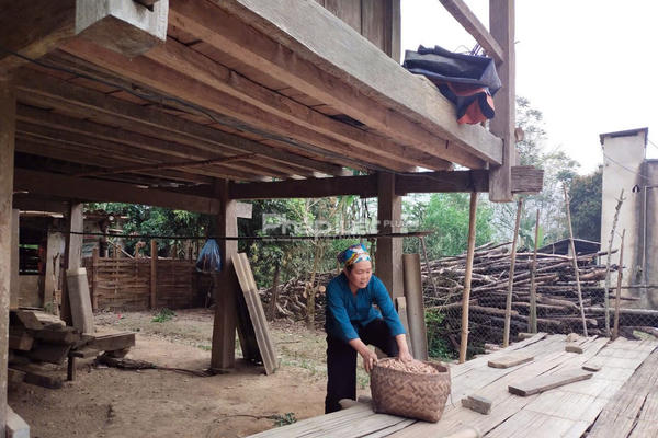 Một Chủ tịch xã ở Tuyên Quang bị đình chỉ công tác vì không vận động được dân