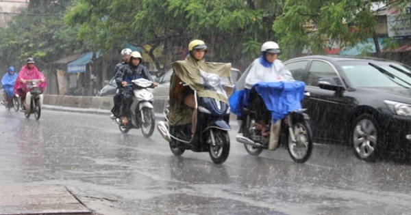 Đổ bệnh do nhiễm “hơi đất” sau mưa