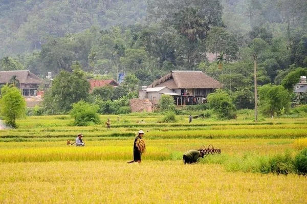 Cụm homestay ở TP Hà Giang nhận giải thưởng Du lịch ASEAN