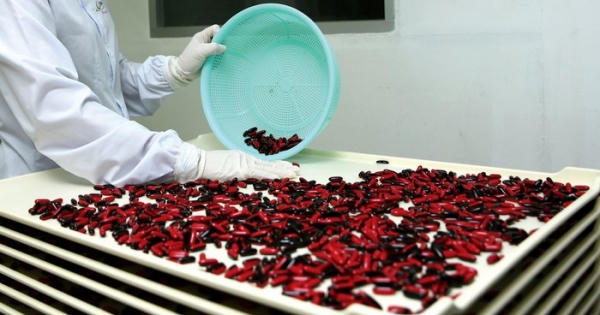 Trúng thầu cung ứng thuốc, vì đâu nhà thầu 'bỏ cuộc'?