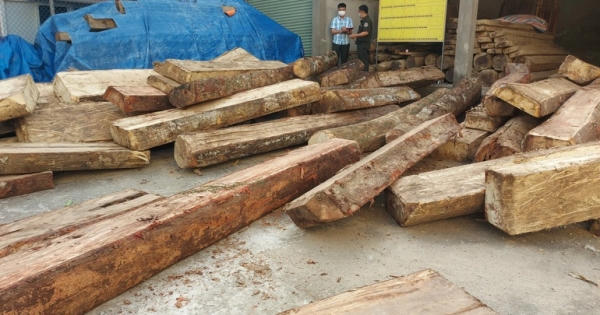 Truy trách nhiệm trong vụ bảo vệ công ty khoáng sản chặt phá rừng