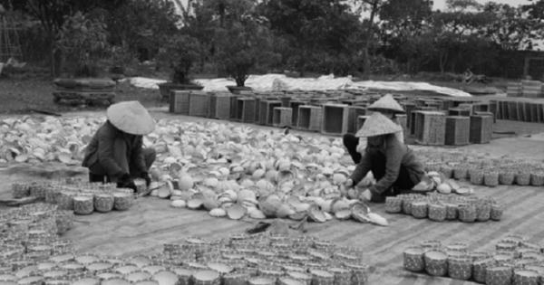 Những làng nghề đan cỏ thành tiền