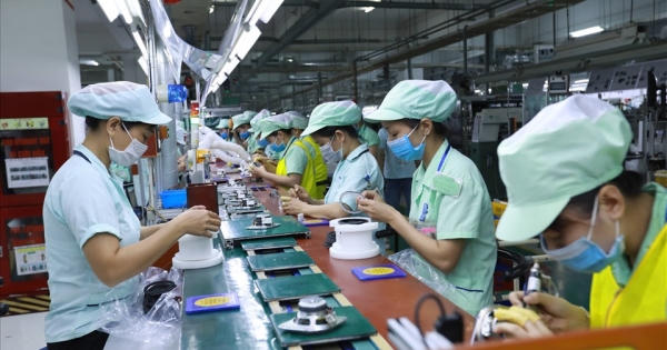 Phấn đấu đến năm 2025, tỷ lệ lao động qua đào tạo có bằng cấp, chứng chỉ đạt 30%