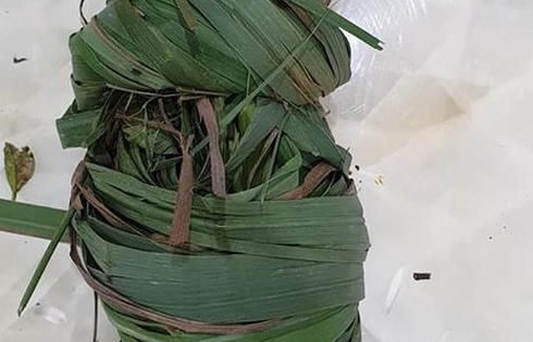 GS. TS Nguyễn Anh Trí chia sẻ không lo đau ốm lúc giao mùa chỉ nhờ nồi lá xông của mẹ