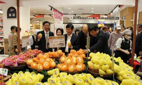 Những nông sản Việt 'đắt như vàng' khi xuất sang Nhật