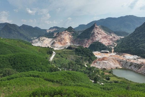 Nghệ An: Lấn 1,8 ha rừng sản xuất, công ty Phủ Quỳ bị phạt 210 triệu đồng Nghệ An: Lấn 1,8 ha rừng sản xuất, công ty Phủ Quỳ bị phạt 210 triệu đồng