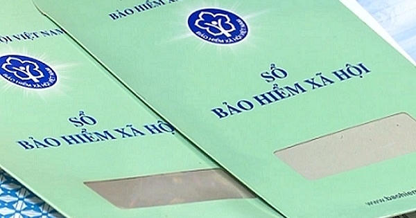 Nhiệm vụ, quyền hạn và cơ cấu tổ chức của Bảo hiểm xã hội Việt Nam