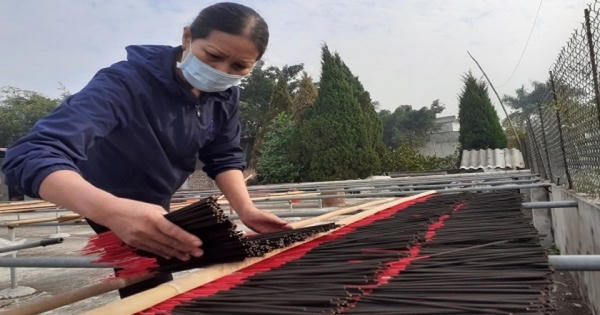 Làng hương xạ thôn Cao rộn ràng vụ Tết