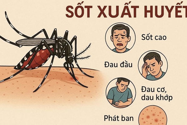 Hà Nội ghi nhận hơn 2.200 ca nhiễm sốt xuất huyết, gần 30 ổ dịch đang hoạt động