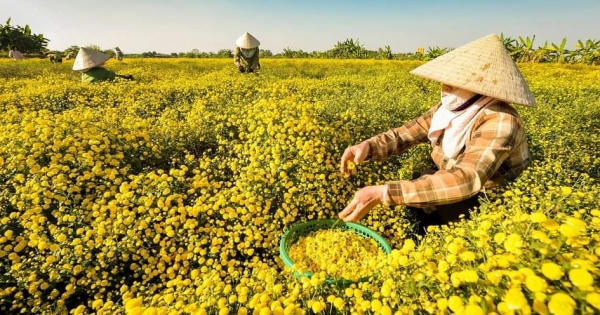 Tập trung hoàn thiện hồ sơ Đồ án điều chỉnh Quy hoạch chung TP Hải Phòng đến năm 2040 Tập trung hoàn thiện hồ sơ Đồ án điều chỉnh Quy hoạch chung TP Hải Phòng đến năm 2040