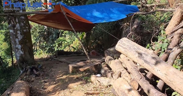 Bắc Kạn: Xót xa cảnh tượng nhiều ha rừng bị tàn phá tan hoang