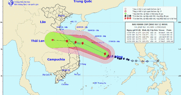 Tin tức mới nhất về cơn bão số 5
