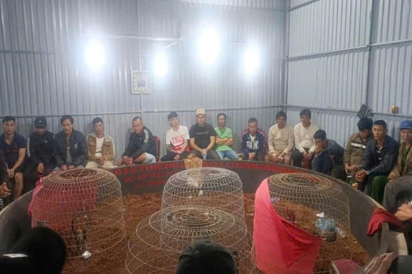 Công an Đắk Lắk đột kích sới bạc đá gà ăn tiền có 50 đối tượng tham gia