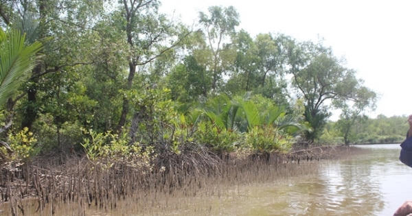 Nguyên Phó giám đốc Sở Nông nghiệp Bến Tre bị bắt Nguyên Phó giám đốc Sở Nông nghiệp Bến Tre bị bắt