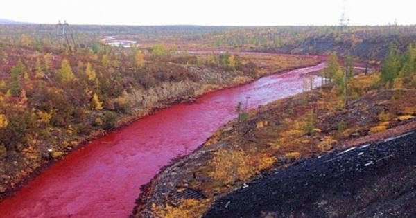 Nguyên nhân khiến dòng sông Nga chuyển màu đỏ tươi như máu Nguyên nhân khiến dòng sông Nga chuyển màu đỏ tươi như máu