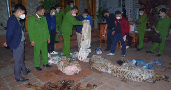 Chủ tịch xã mổ hổ nấu cao bị bắt quả tang