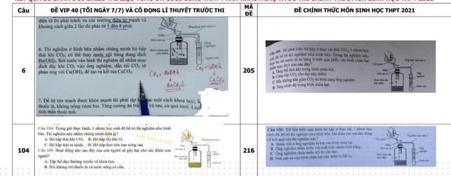 Lùm xùm đề thi môn Sinh tốt nghiệp THPT: Trách nhiệm của Bộ GD&ĐT ở đâu?