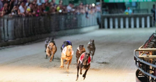 Gỡ vướng Dự án Trung tâm dịch vụ thể thao giải trí đua chó Xuân Thành