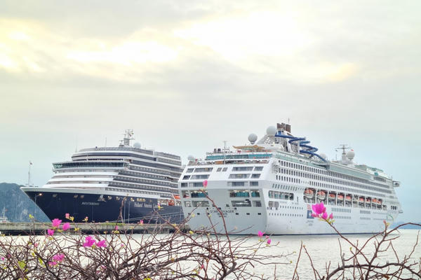 Hạ Long mở đầu mùa du lịch tàu biển 2025–2026 bằng loạt du thuyền quốc tế